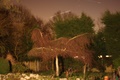 Hazelwood by night